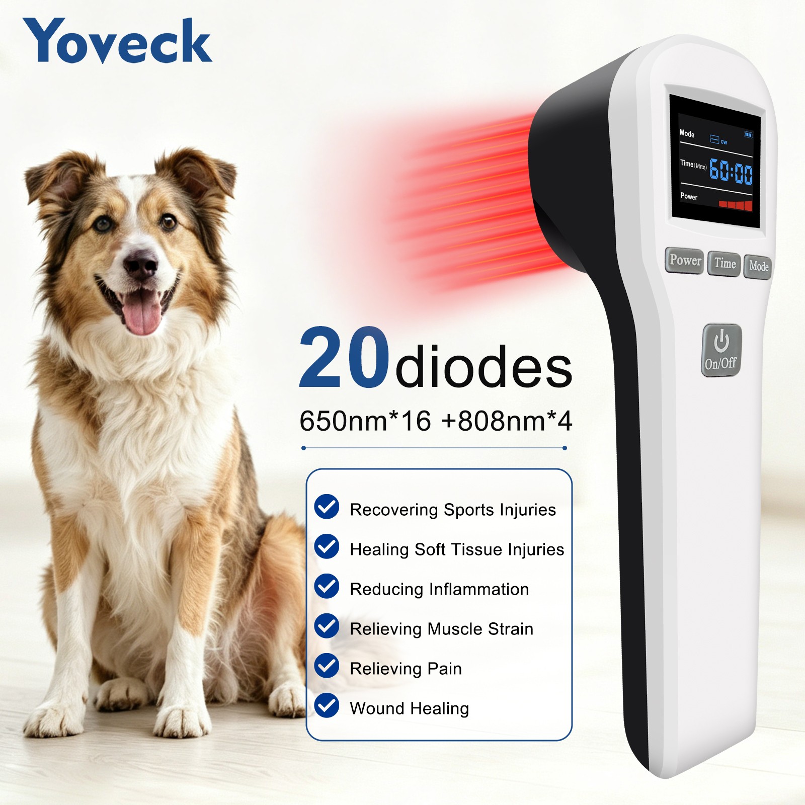 880mW Cold Laser Therapy Device 650nm 808nm for Joint Muscle Pain Relief LLLT US
