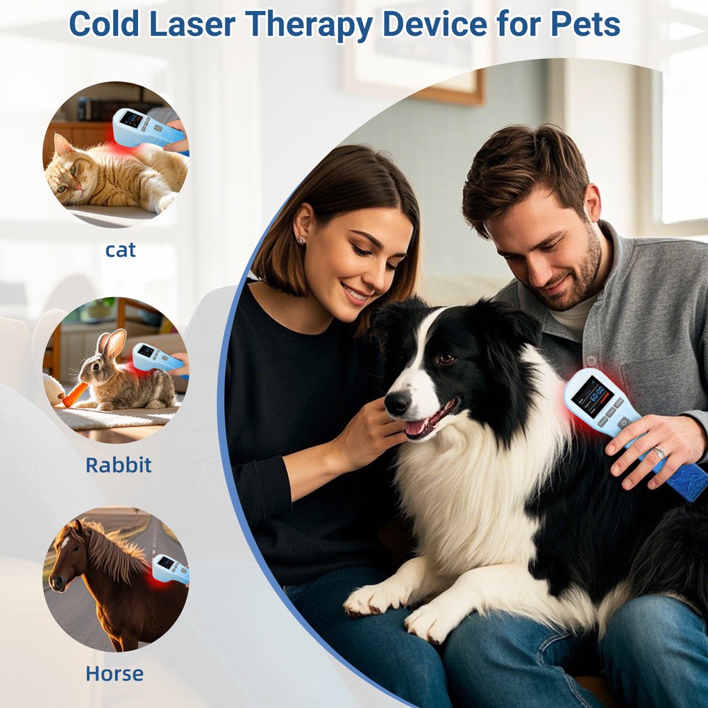 Handheld 20 Diodes Cold Laser Therapy Device 650nm 808nm for Joint Pain Relief