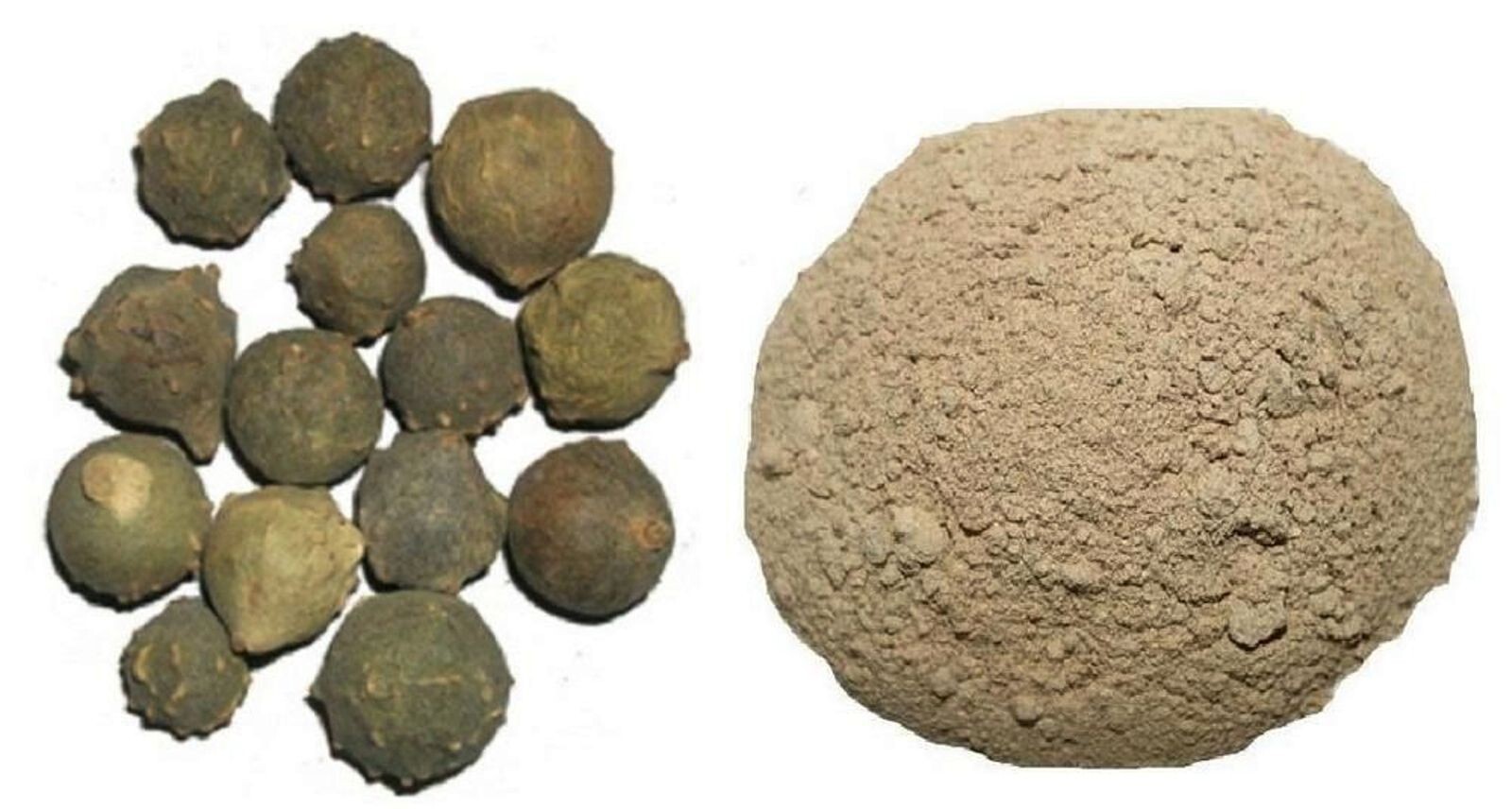 Majuphal Manjakani Quercus Infectoria Nutgalls Gallnuts Oakgalls Majuphal Powder