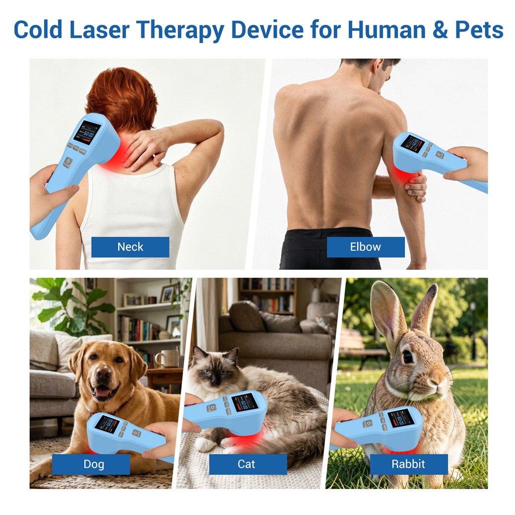 880mW Therapeutic Laser Equine Cold Laser Therapy for Pets Joint and Muscle Pain