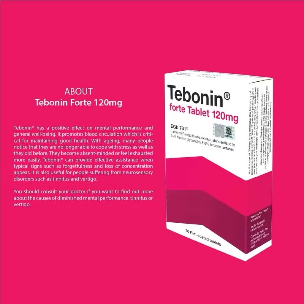 [2 BOX] Tebonin Forte 120mg EGb761 (30Tablets) Ginkgo Biloba Focus Concentration