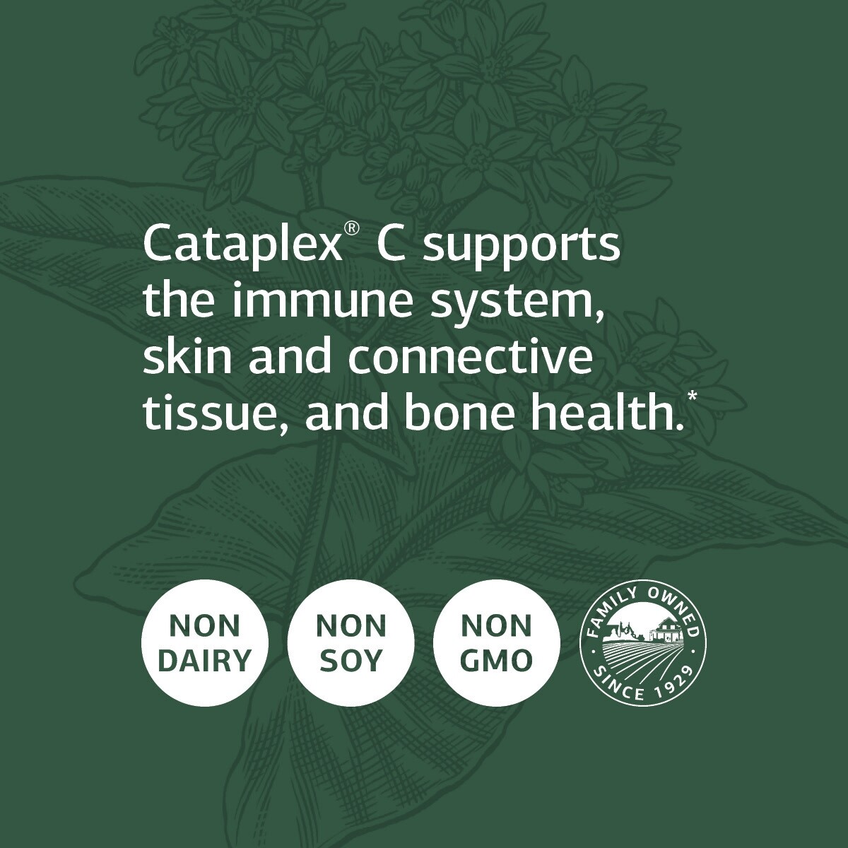 Standard Process Cataplex C Immune Support, Adrenal Support, 90 Tablets