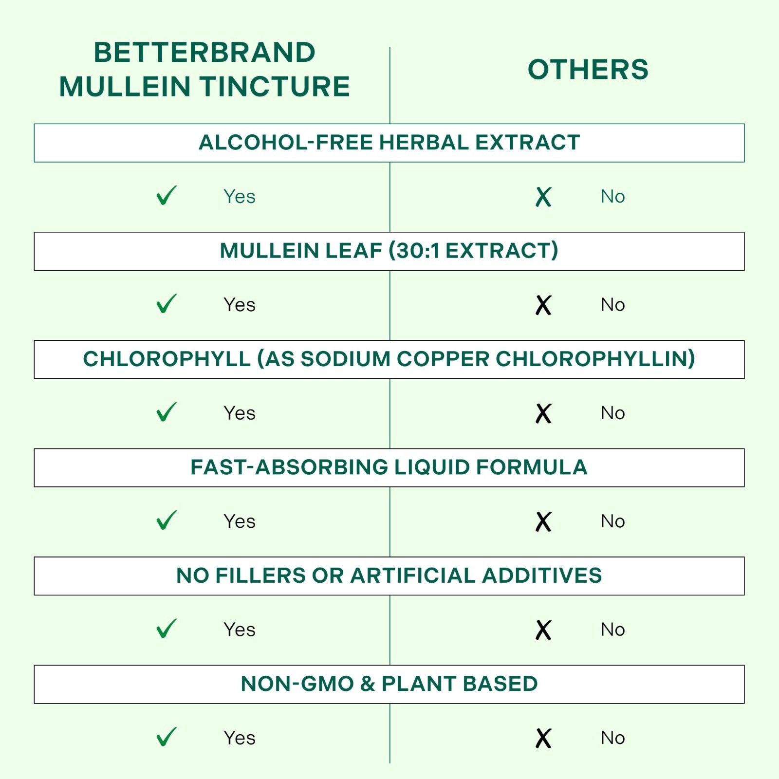 Mullein Drops Tincture for Lung Detox – Alcohol-Free Respiratory Support, 1 Mont