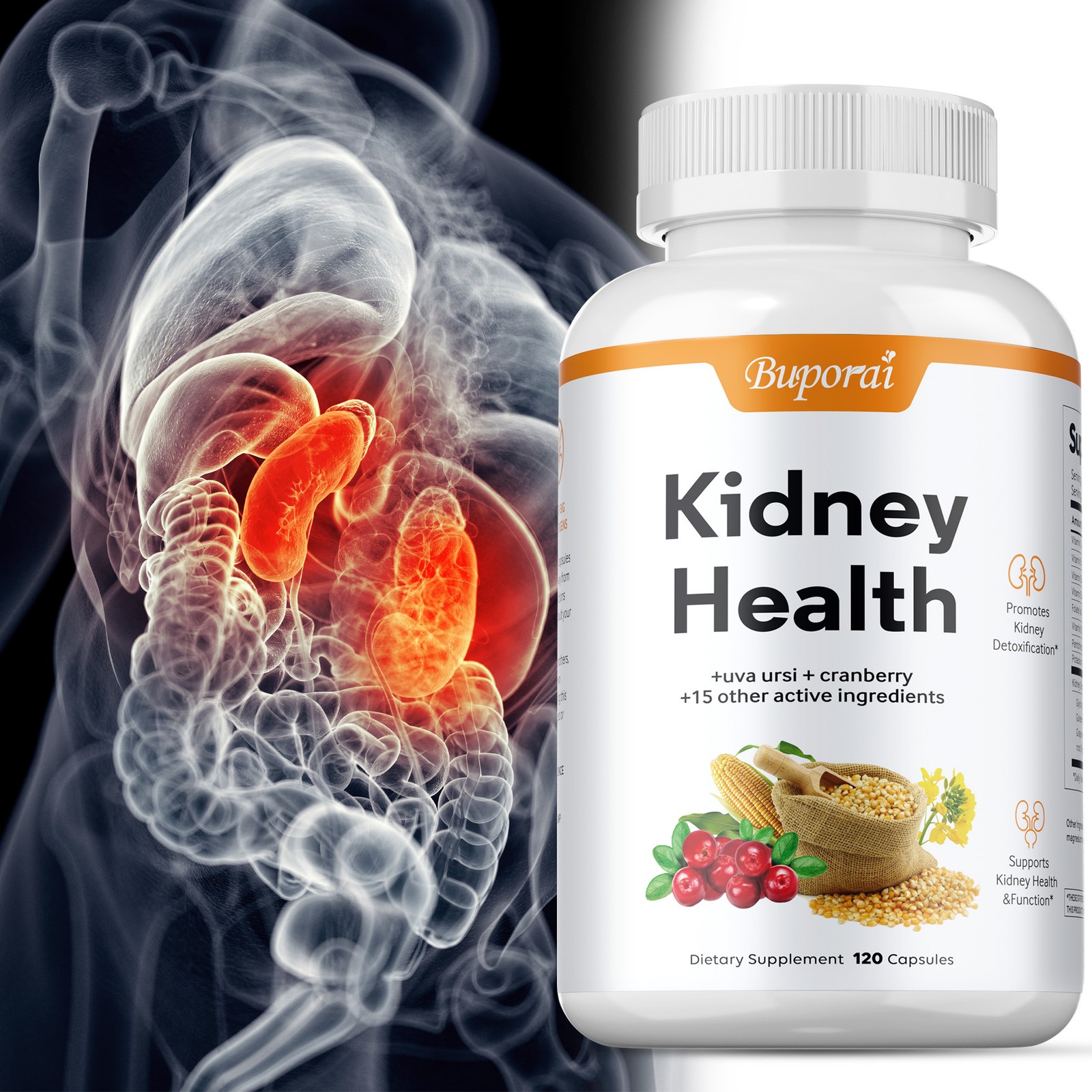 Kidney Health – Kidney Support, Detox & Repair, Urinary Tract Health & Bladder