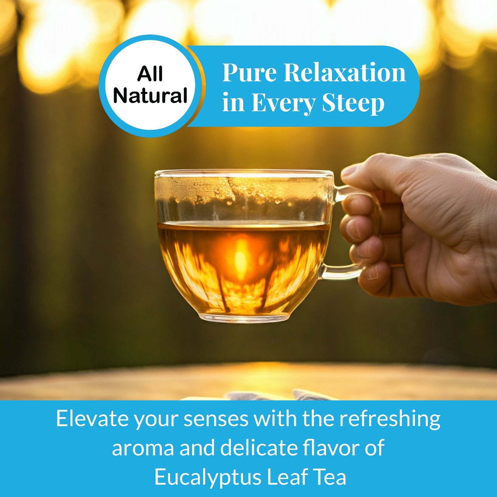 75 Organic Eucalyptus Tea Bags,Pure Eucalyptus Leaf Tea,Respiratory Herbal Tea