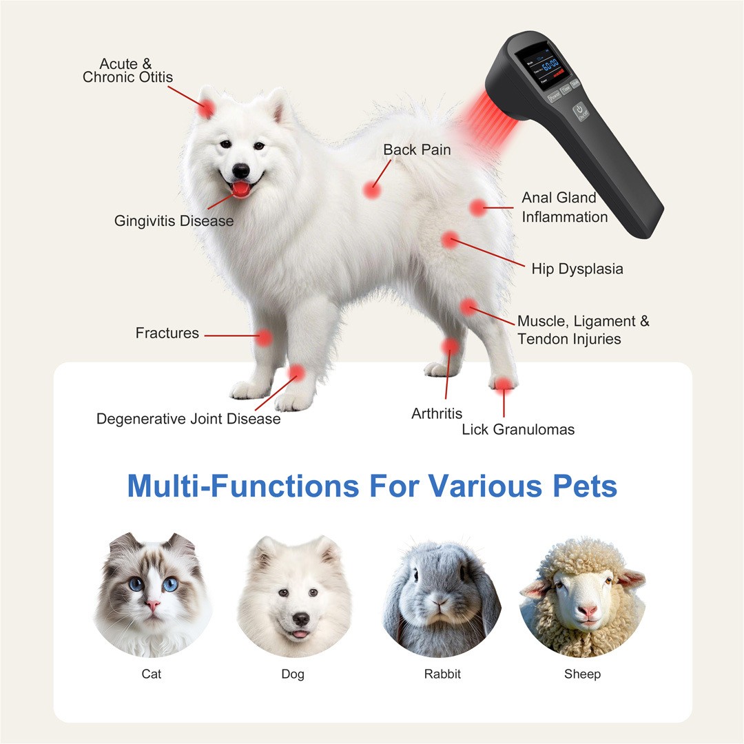 LLLT Cold Laser Therapy Physiotherapy Machine for Arthritis Pain Relief 20Diodes