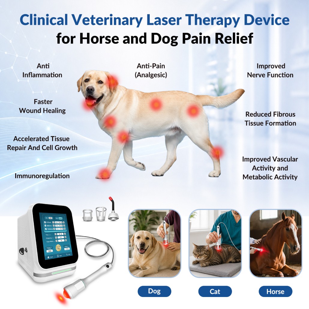 45W High Power Cold Laser Therapy Machine for Pain Relief 810nm + 980nm + 1064nm