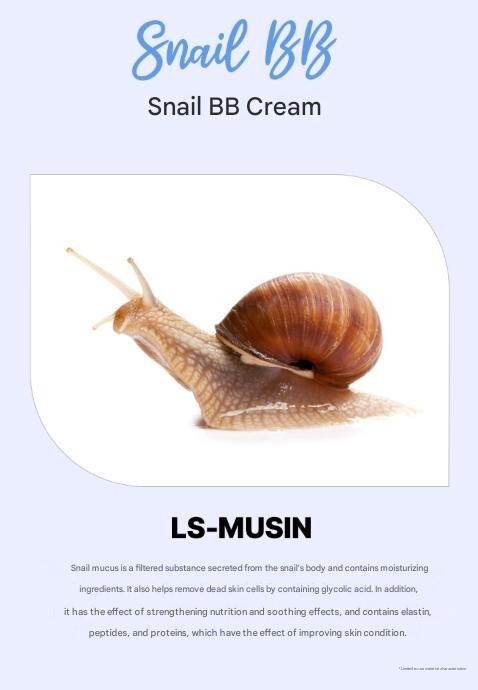 KOREA BEST Perfect Cover Snail BB Cream 50ml Korean Cosmetics Korea No.1 BB