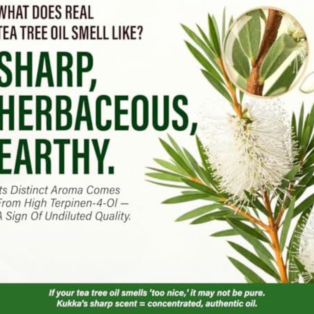 100% Pure & Natural Tea Tree Oil for Skin, Hair, Toenails, Aromatherapy, & Soap
