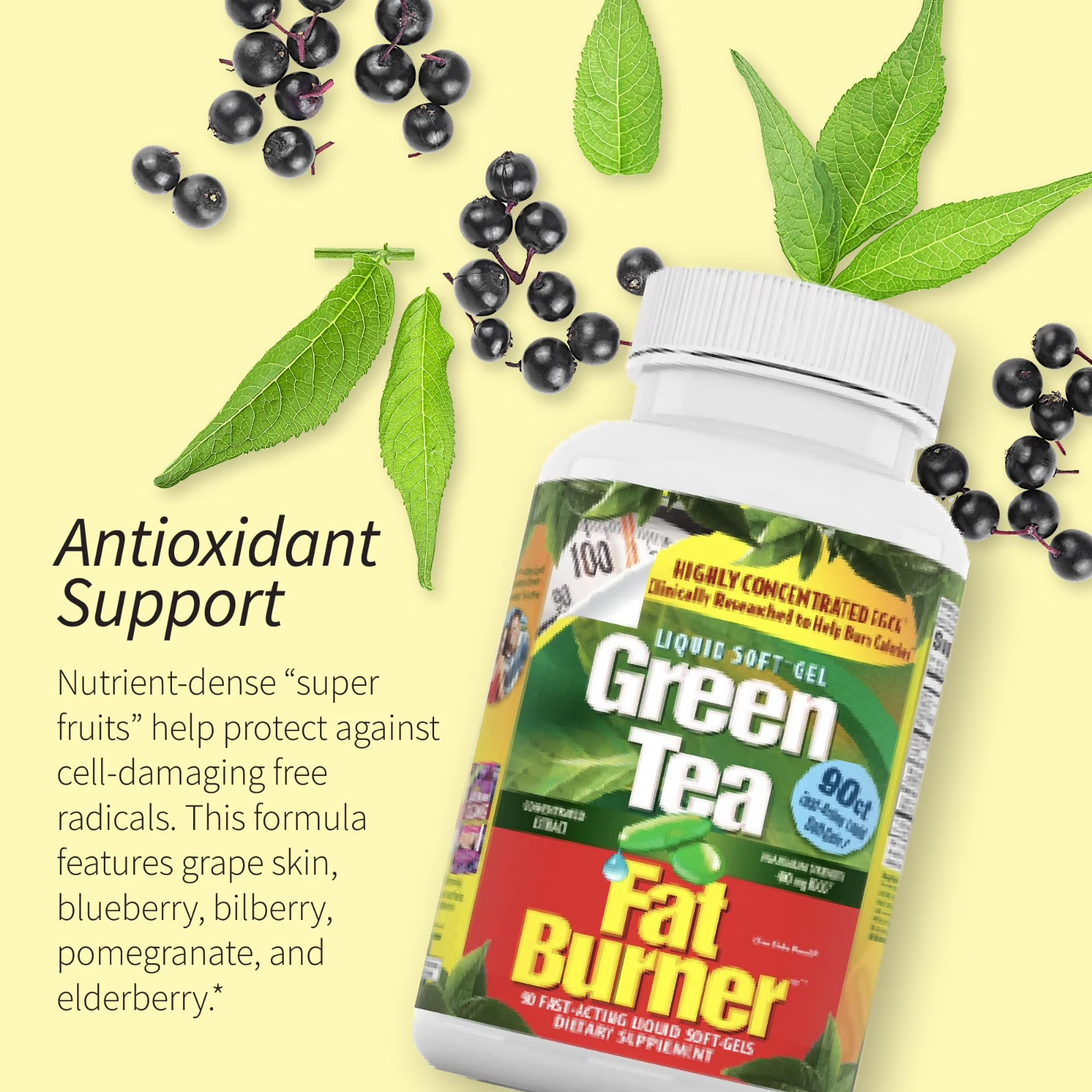Green Tea Extract Supplement 90 Softgels for Metabolism & Antioxidant Support