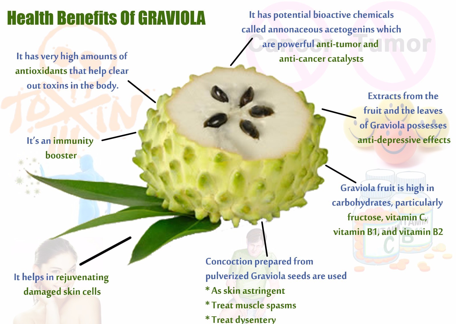 Soursop Fruit Powder 10:1 Extract 3.52 Oz(100g) Annona Muricata Graviola