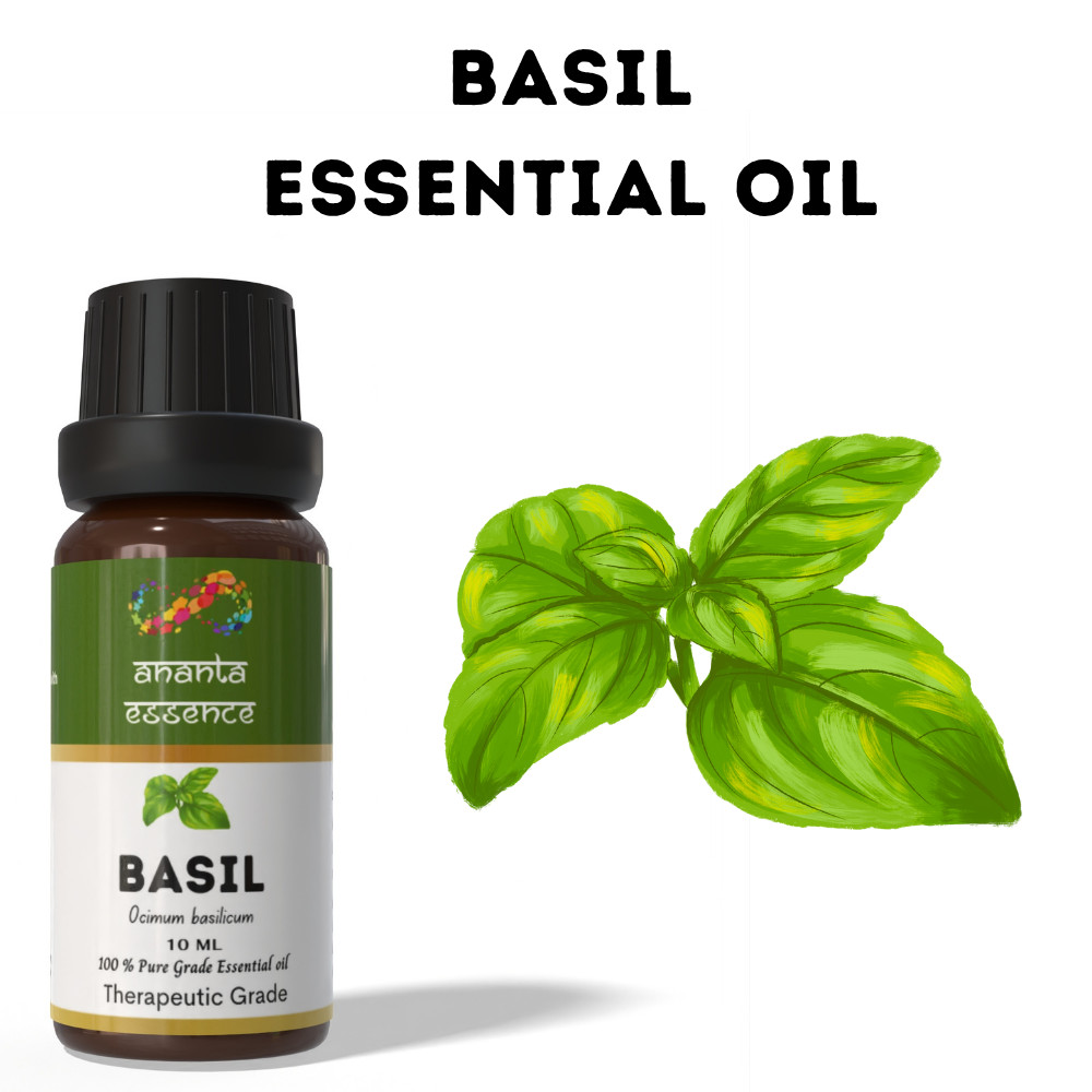 Ananta Basil Essential Oil 10ml Pure Natural Aromatherapy Diffuser Oil
