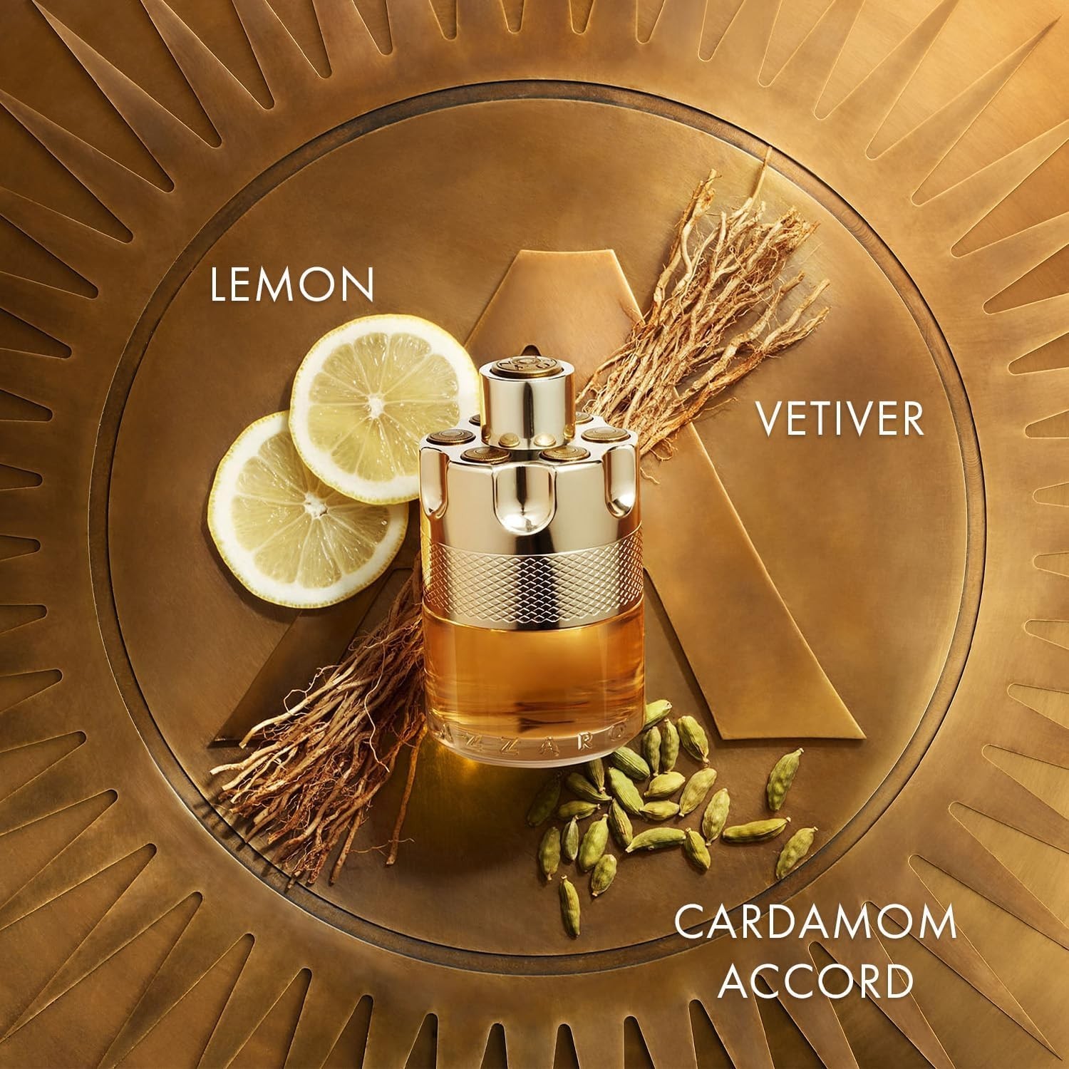 Azzaro Wanted EauDeToilette Vibrant Irresistible Woody, Citrus & Spicy 3.3 fl oz