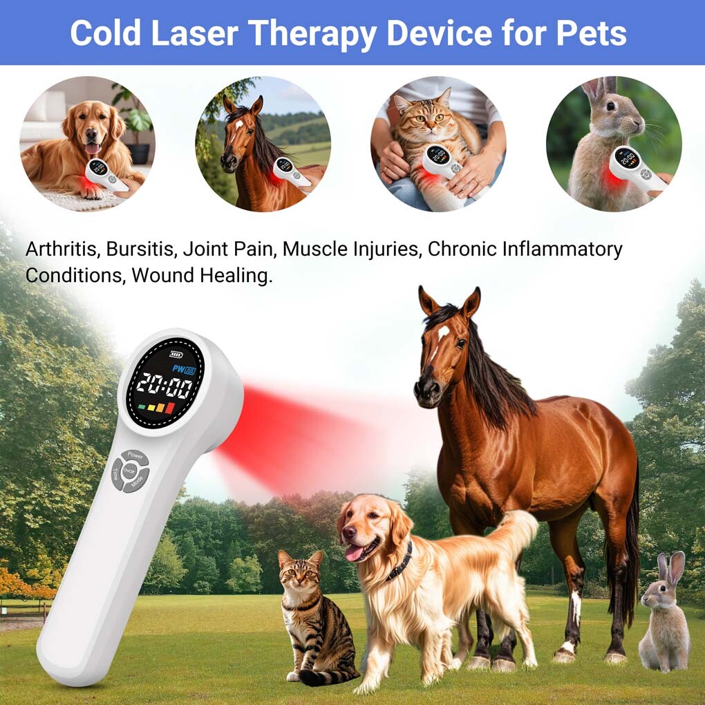 Professional LLLT Cold Laser Therapy Device 1760mW 660/810/980nm for Pain Relief