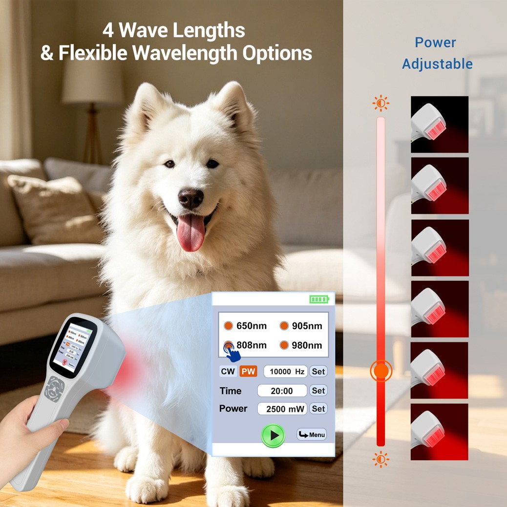 2.5W Cold Laser Therapy for Chronic Pain Relief Infrared Red Light for Arthritis