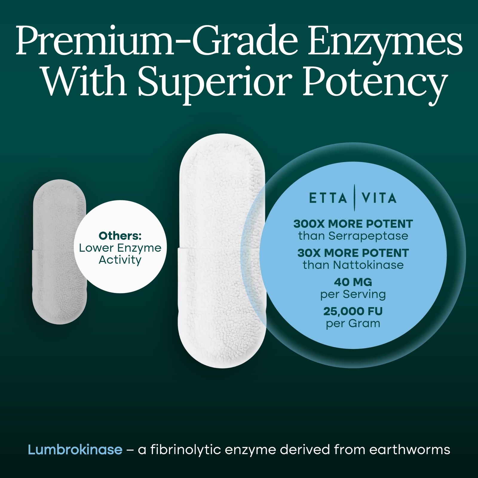Potent Lumbrokinase Supplement (120 Servings) 40Mg/Serving (Max Activity – 800,