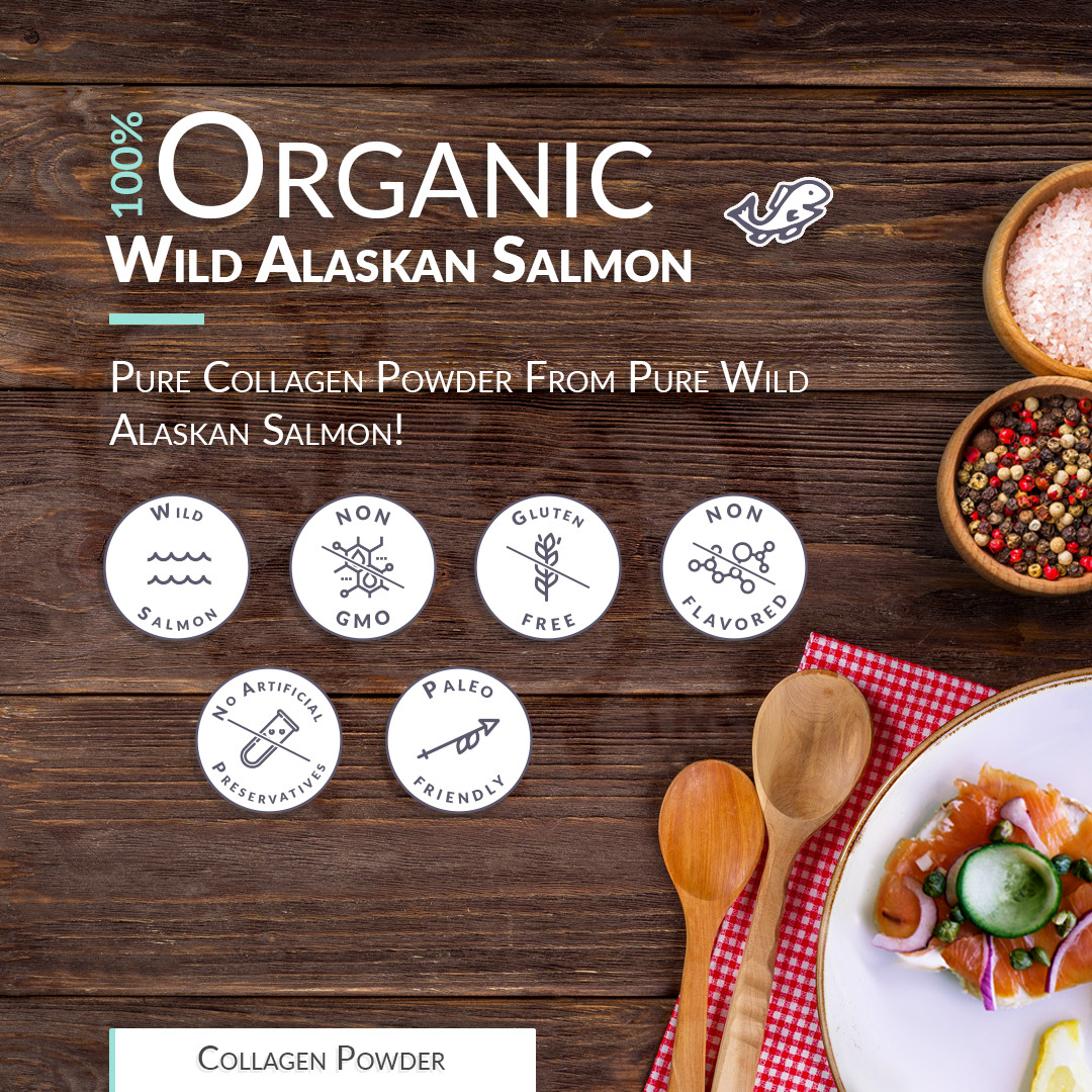 Wild Alaskan Salmon Bone Broth Powder – Pure Protein Organics – Unflavored