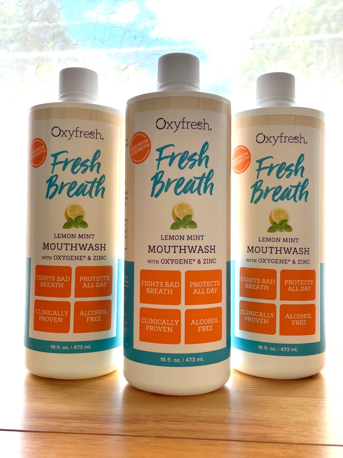 3-PACK | OXYFRESH Lemon Mint Mouthwash 16oz Fluoride Free Oral Rinse Bad Breath