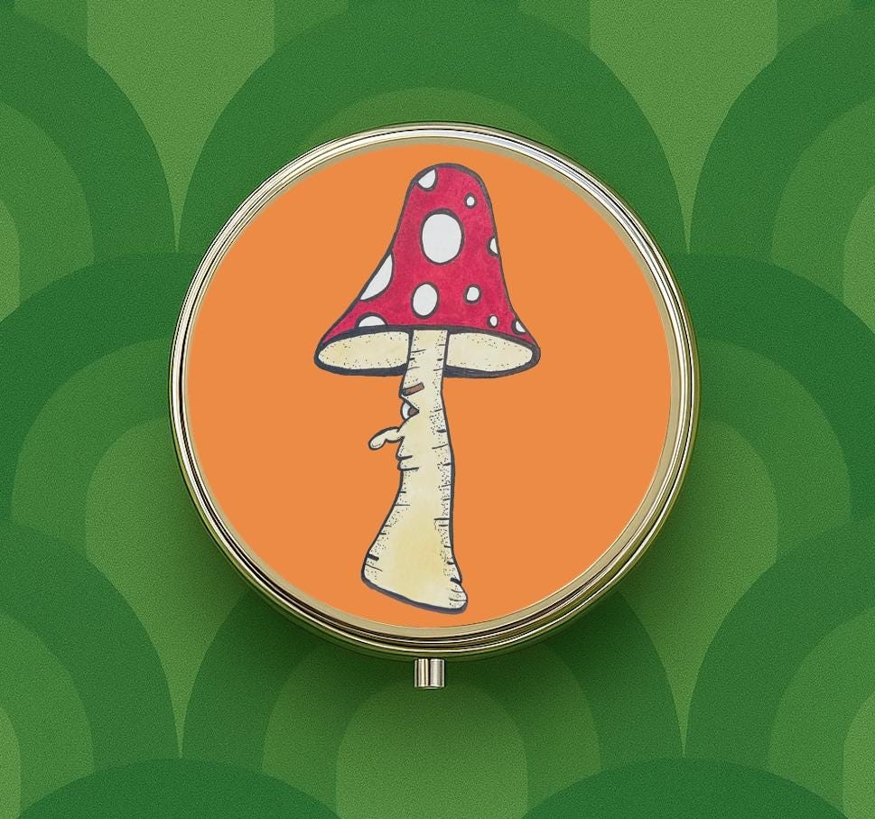Whimsical Mushroom Guy Pill Box Case Trinket Vitamin Holder Trippy Folk Art