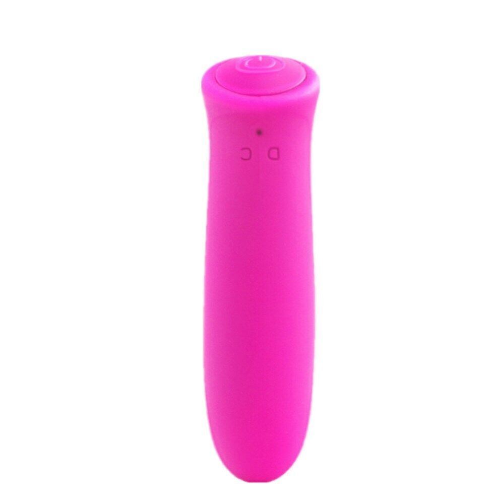 Waterproof Wireless Remote Control Bullet Clit Vibrator Sex Toys For Women US