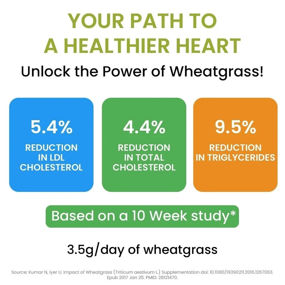 Wheatgrass Powder 100G | Ayurvedic Support For Natural Detox | Immunity Booster