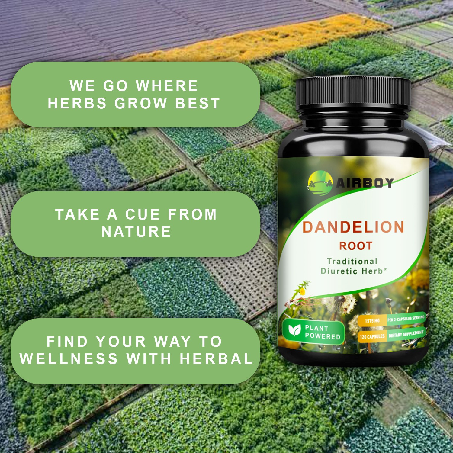 Dandelion Root 1575mg – Liver Kidney Health,Cleansing & Detox, Digestive Support