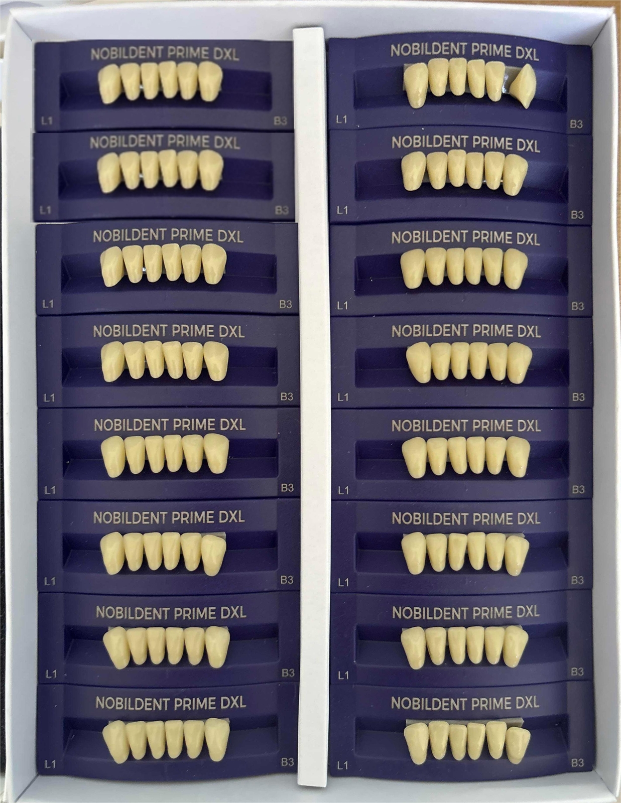 Prime DXL Artificial Dental Acrylic Resin False Denture Teeth Upper Anterior