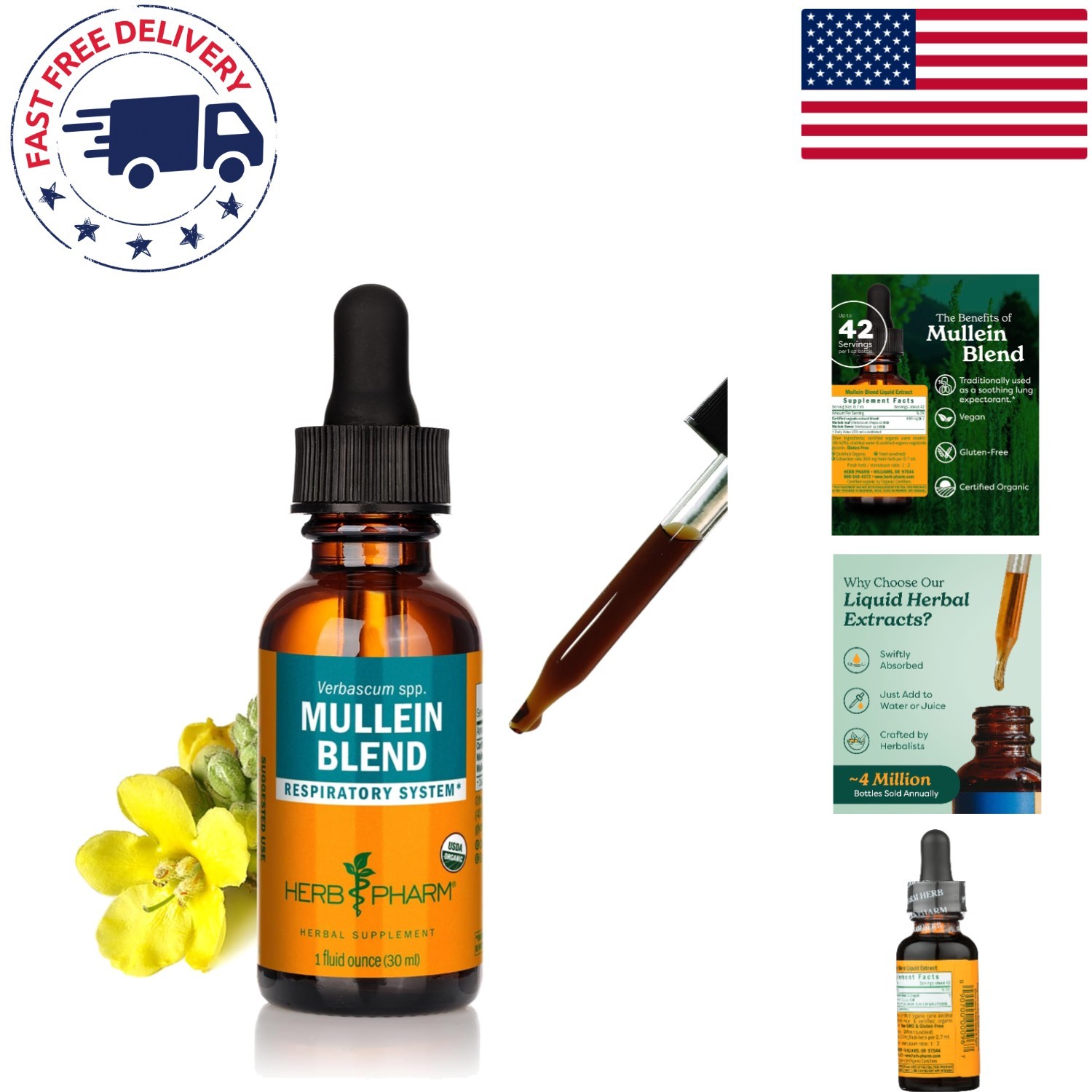 Fast-Absorbing Mullein Flower & Leaf Tincture – Organic Respiratory Support, 1oz