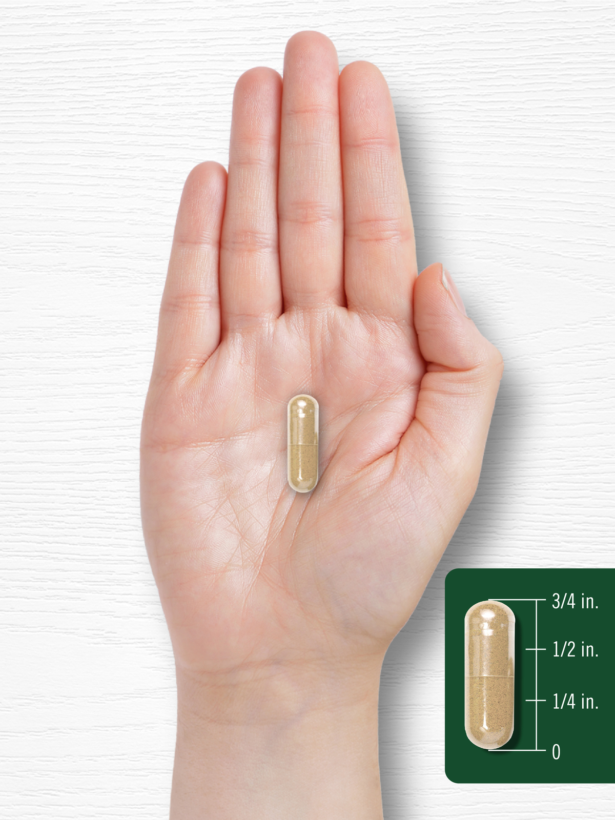 Holy Basil Capsules 1600mg | 200 Count | Leaf Extract Supplement | by Carlyle