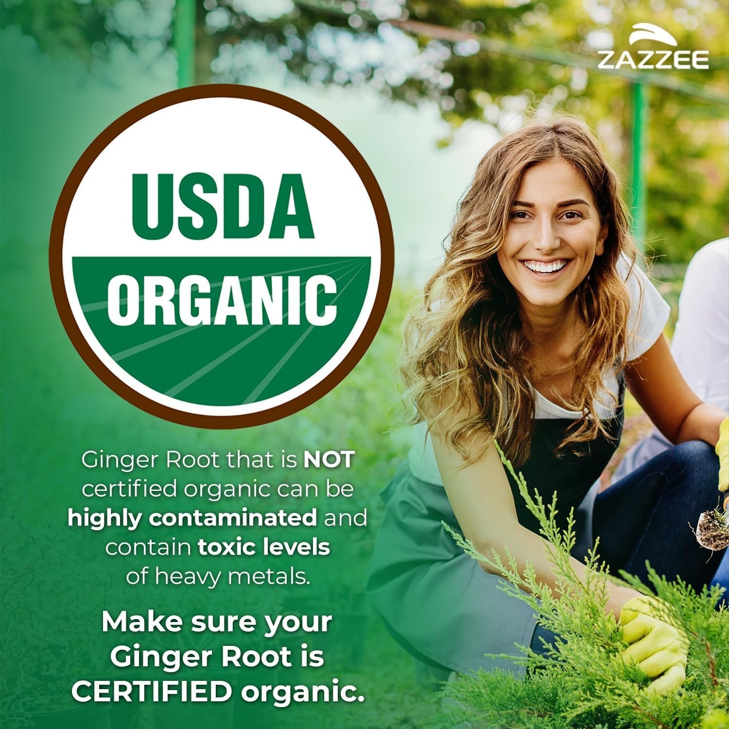 USDA Organic Ginger Root 20:1 Extract, 5% Gingerols, 100 Capsules, 3+ Suppl…