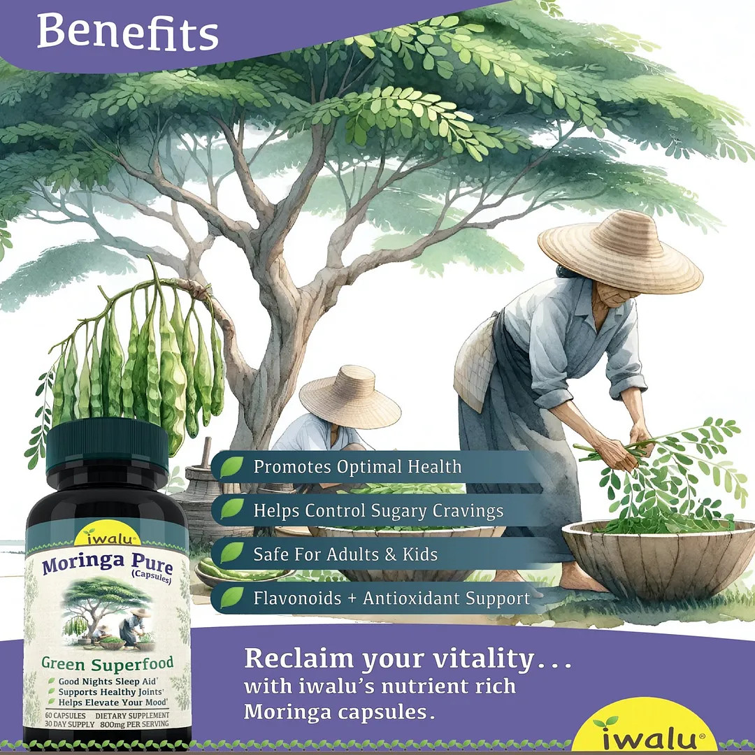 Moringa Oleifera Capsules | Best Supplement Capsule Pill Men Women FREE SHIP