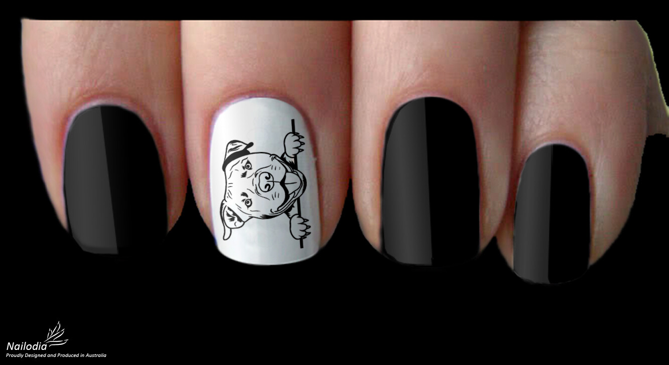 Pitbull Dog Puppy Nail Art Decal Sticker Water Transfer Slider – Pet Theme
