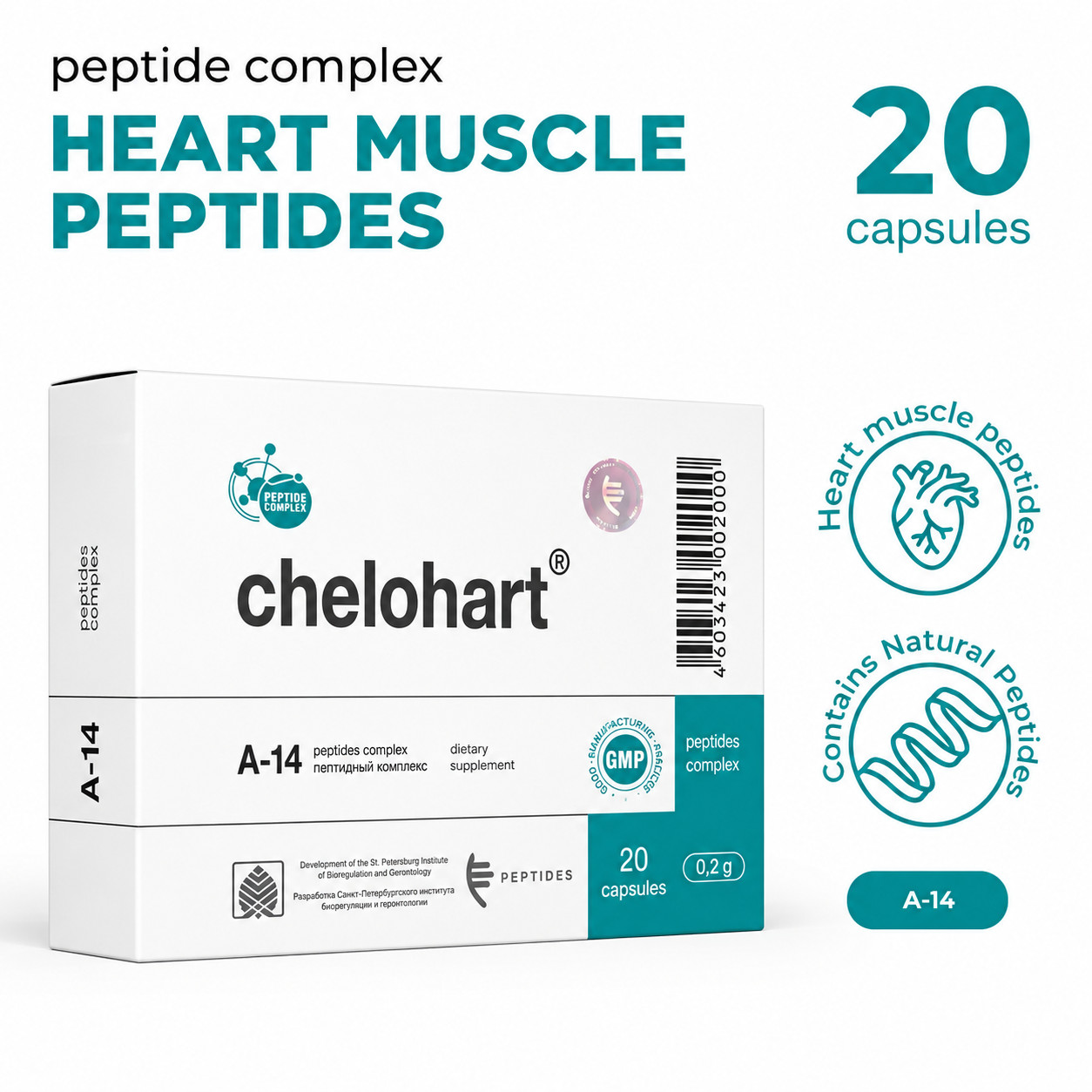Chelohart A-14 Natural Myocardial Heart Muscle Peptide Bioregulator 20 Capsules