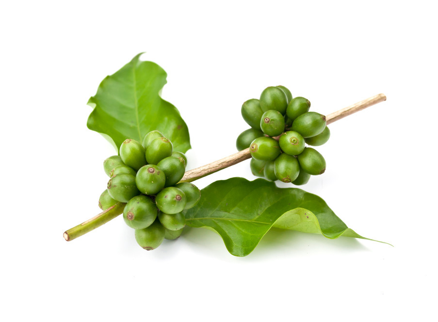 Green Coffee Bean Extract GCA 800mg 50% Chlorogenic Acid (2 Months Supply)