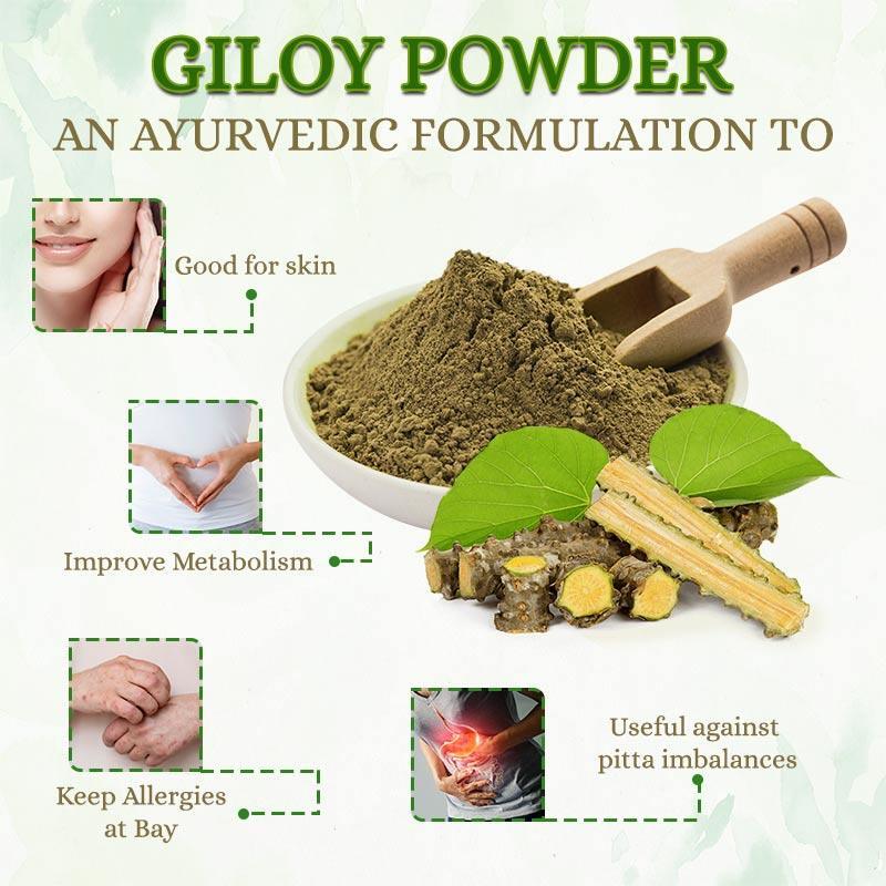 Giloy Powder – Geeloh – Guduchi – Tinospora – No Artificial Colors, Fresh & Pure