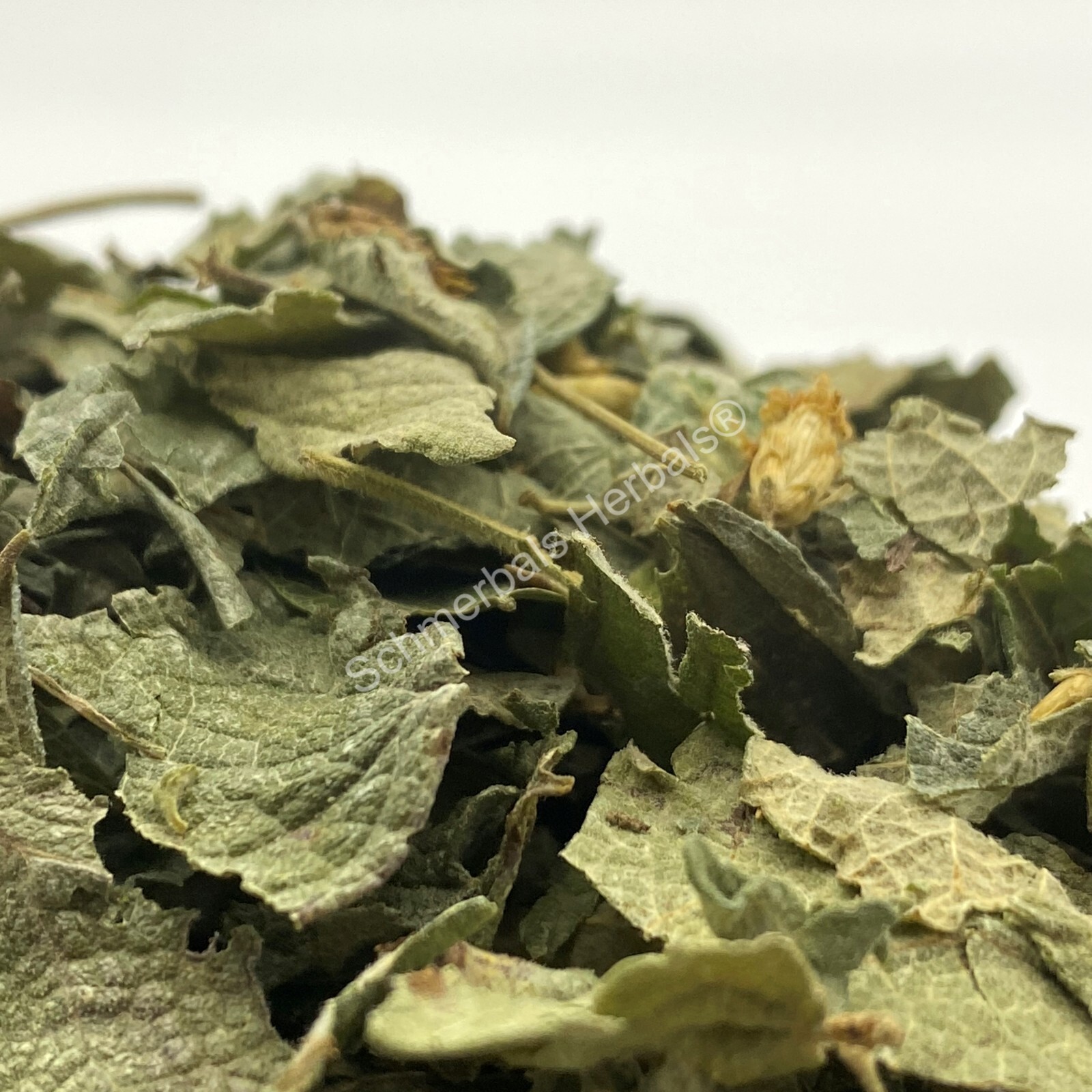Dream Herb, Calea zacatechichi, Organic Leaf, 1 oz FreeShip ~ Schmerbals Herbals