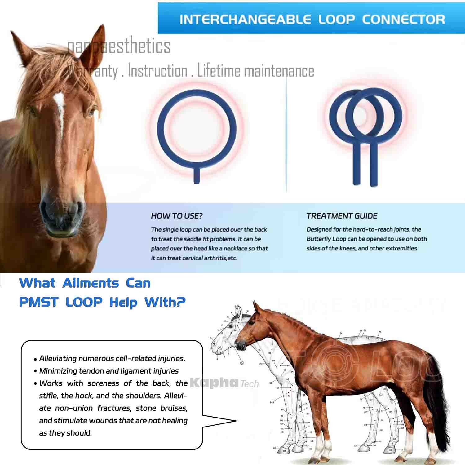 Portable PEMT Loop Magnetic Therapy PEMF PMST Physio Machine Horse Pain Relief