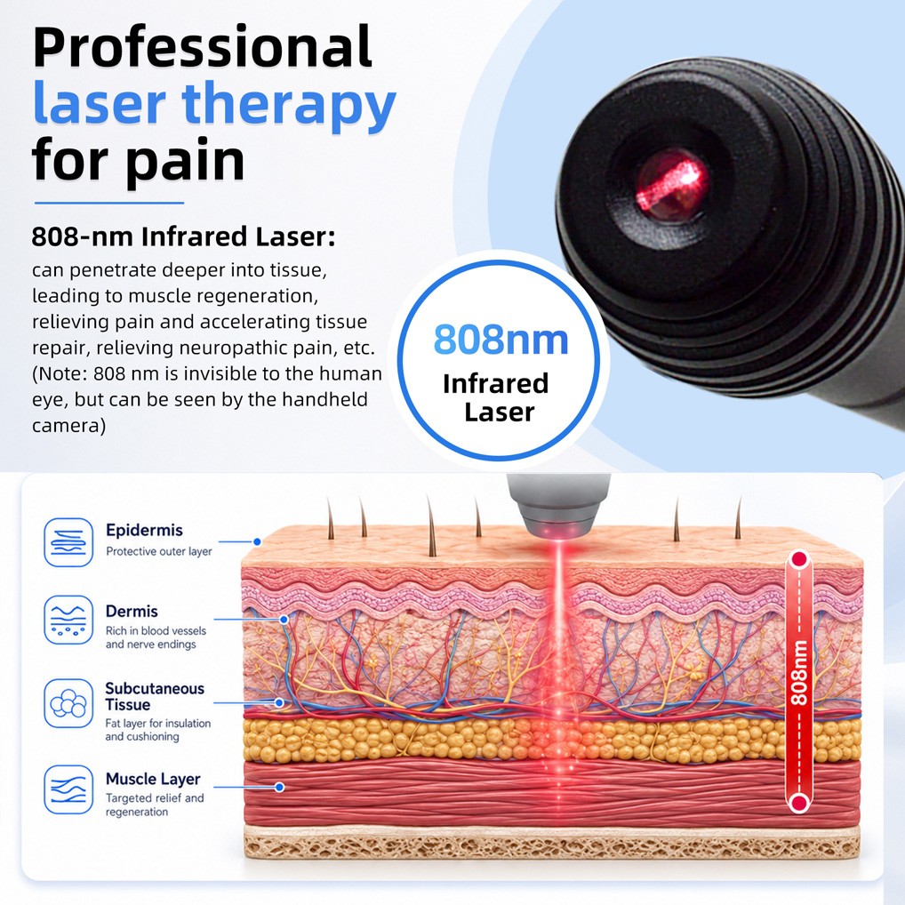500mW 808nm Laser Therapy For Joint Pain NIR Light Laser Device For Human Pets