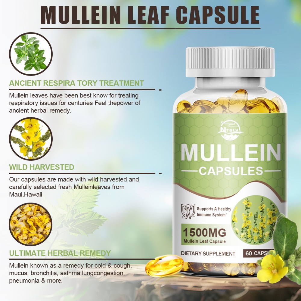 60 Mullein Leaf Capsules Herbal Supplement For Lung & Respiratory Health