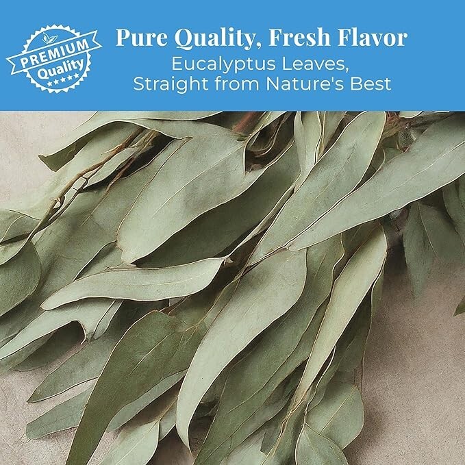 75 Organic Eucalyptus Tea Bags,Pure Eucalyptus Leaf Tea,Respiratory Herbal Tea