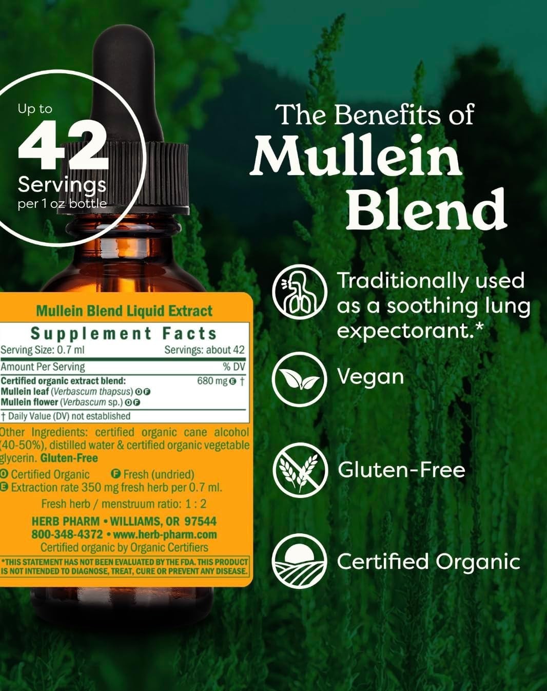 Fast-Absorbing Mullein Flower & Leaf Tincture – Organic Respiratory Support, 1oz