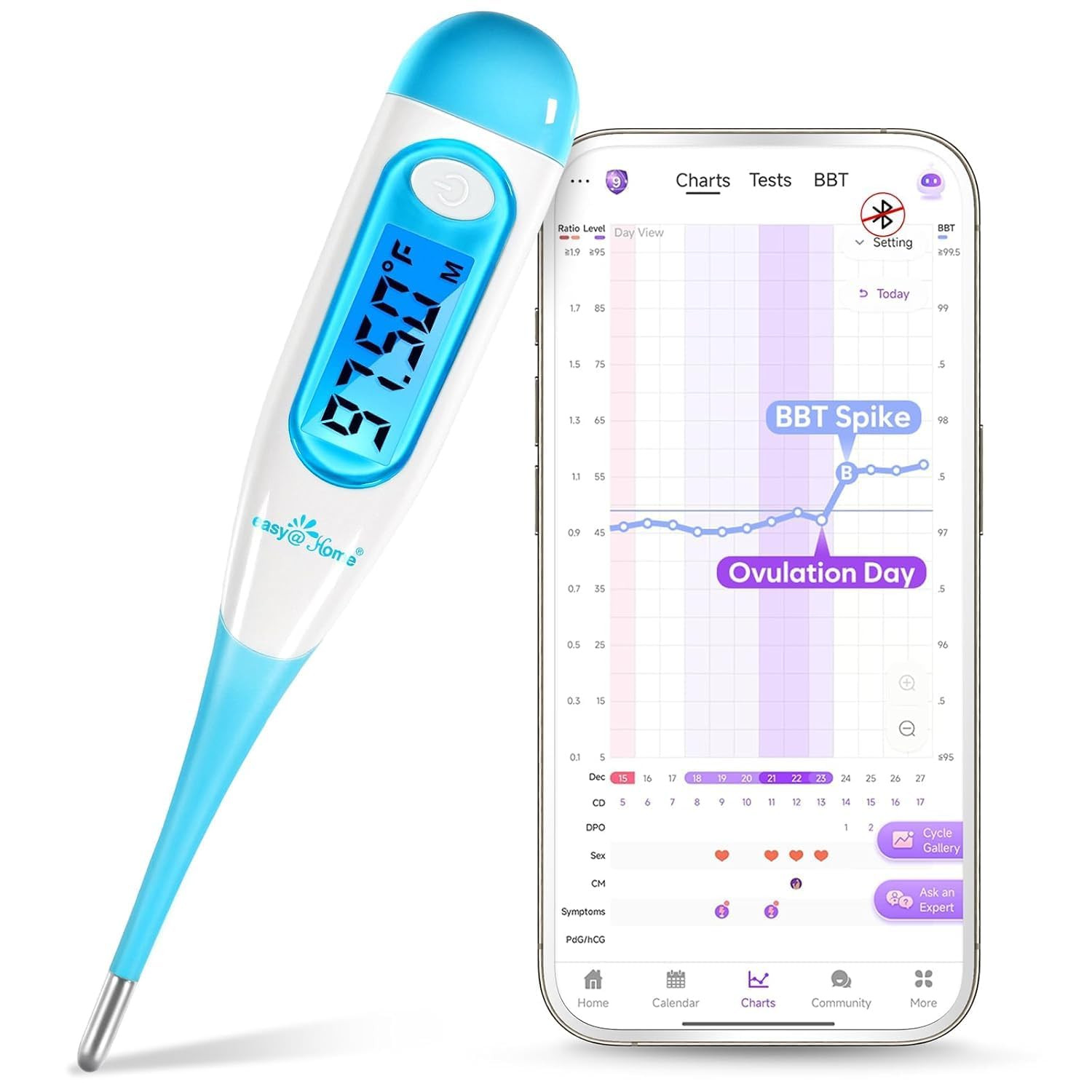 Digital Basal Thermometer Ovulation BBT Backlit LCD Memory Recall