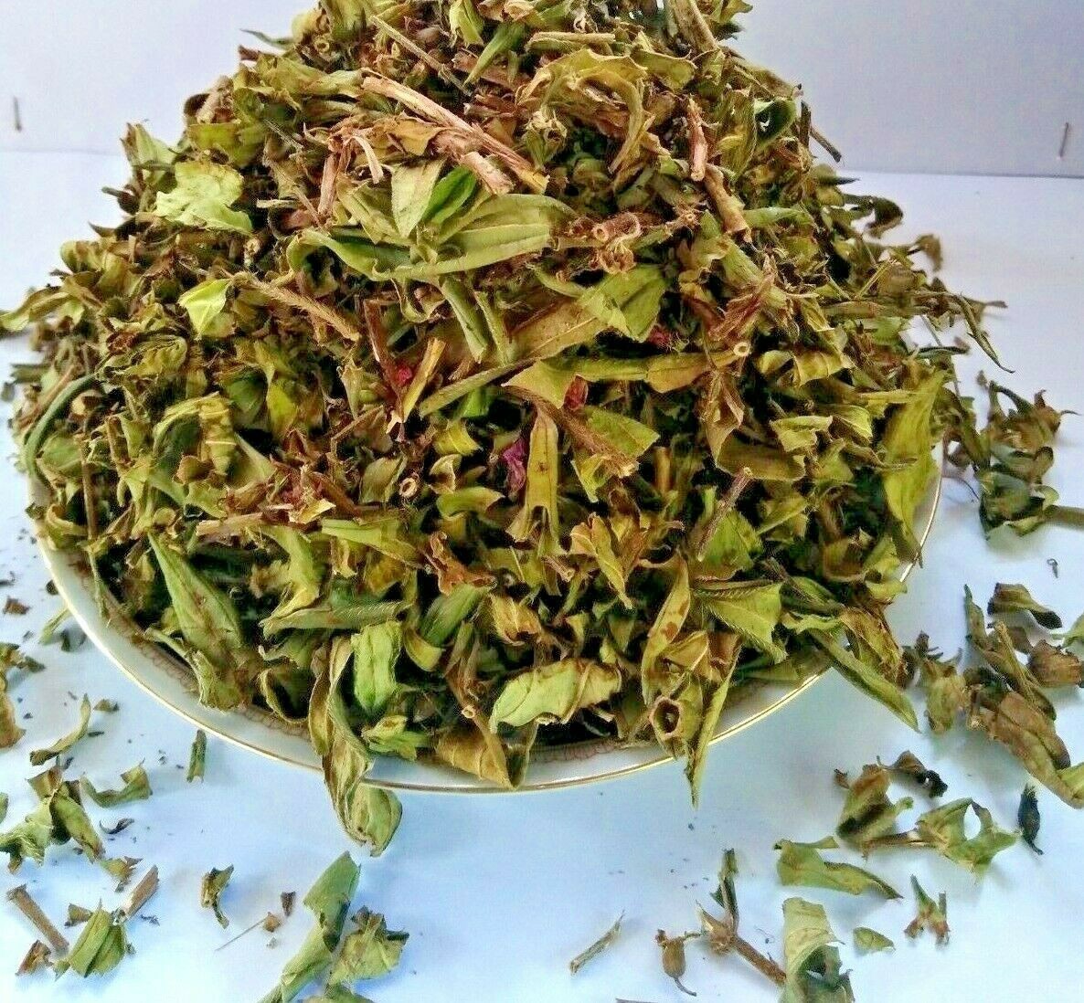 Dried Osbeckia Octandra Leaves- Organic Melastoma octandrum Leaves – Free Ship