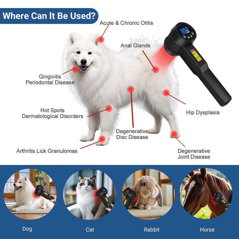 Professional Laser Therapy Machine 5W Dual Wavelength Infrared Pain Relief Home