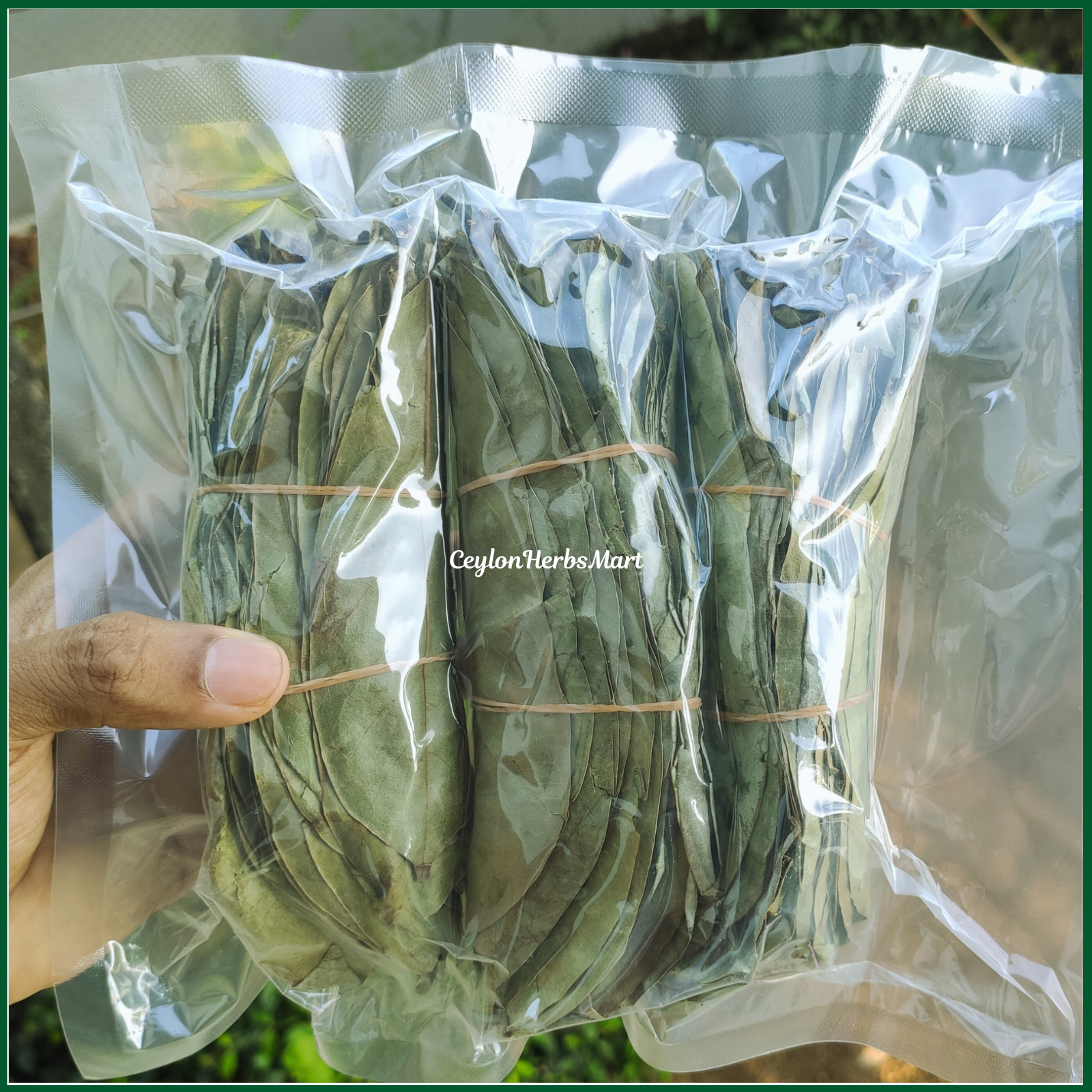 Dried Soursop Graviola Leaves Herbal Tea 100% Organic Hojas De Guanabana Leaf