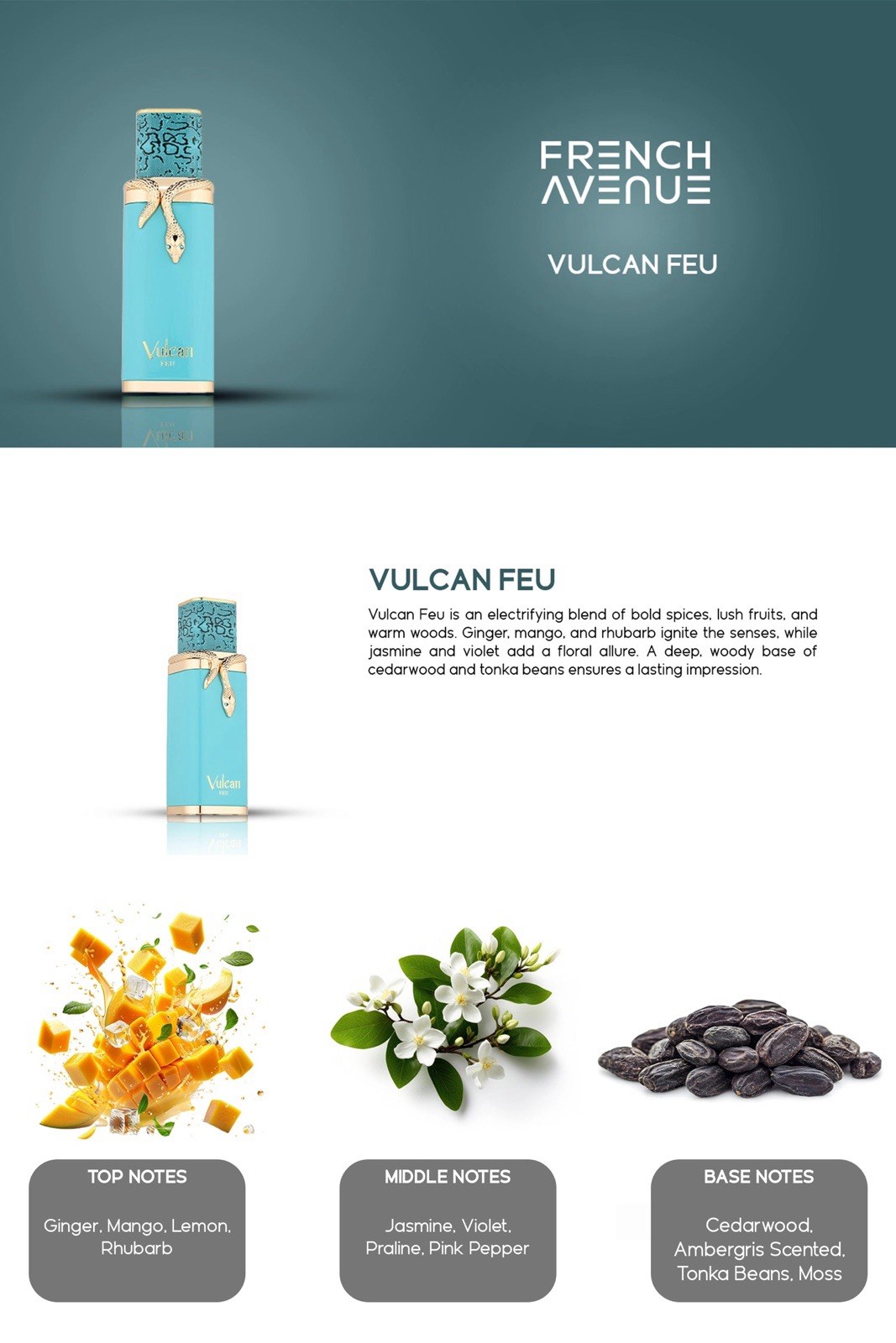 Vulcan Feu French Avenue By Fragrance World 3.4 Oz Eau De Parfum Men Spray NEW