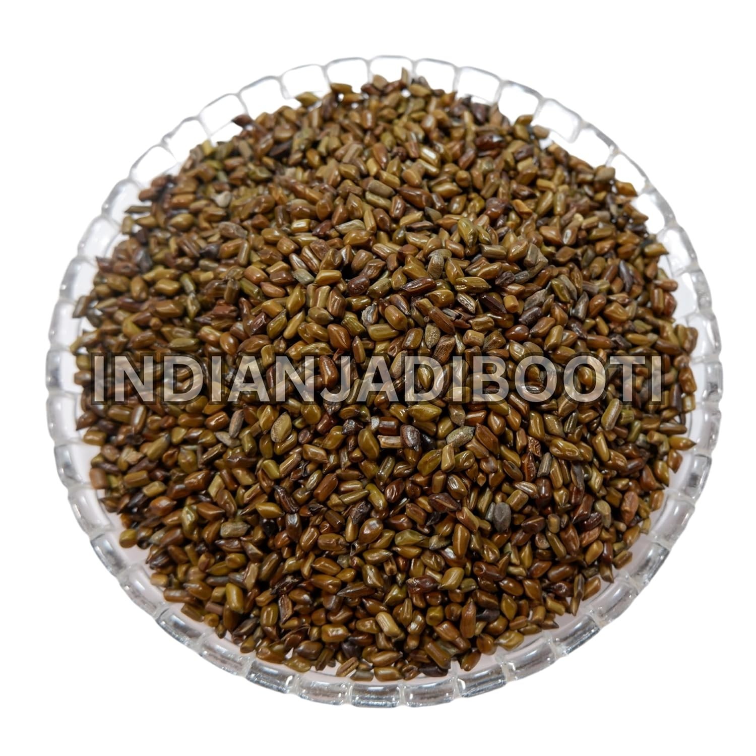 Puwar Seeds (Cassia Tora) Chakramarda Beej Ayurvedic Whole Herb-400 GRAMS