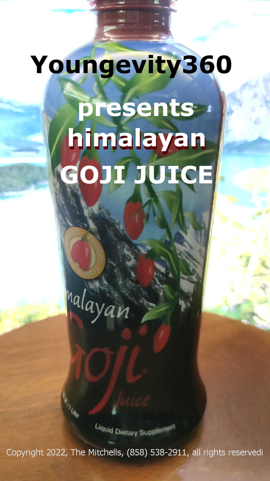 Youngevity Sandra Himalayan GoJi Juice 4-Pak