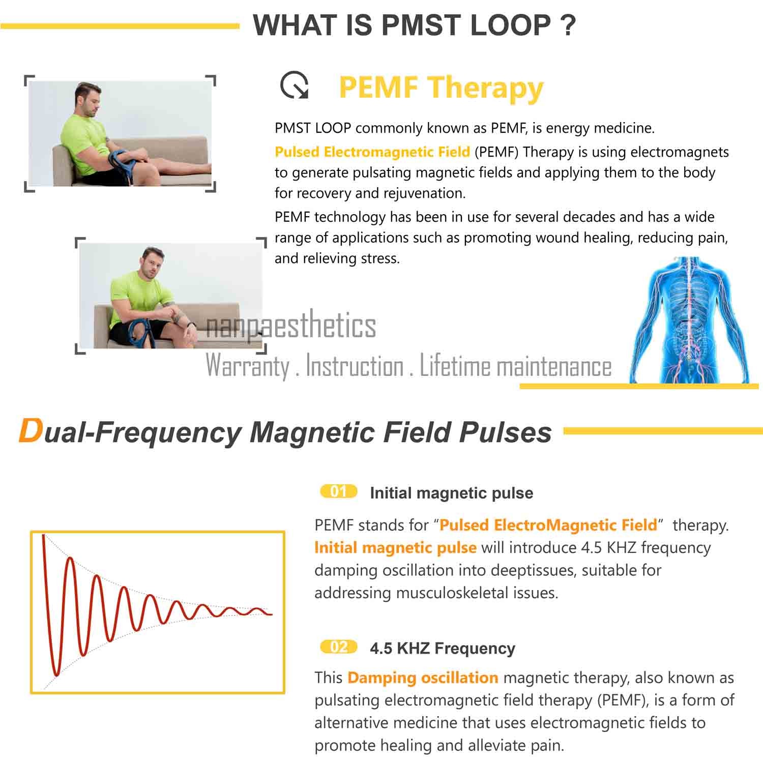 Portable PEMT Loop Magnetic Therapy PEMF PMST Physio Machine Horse Pain Relief