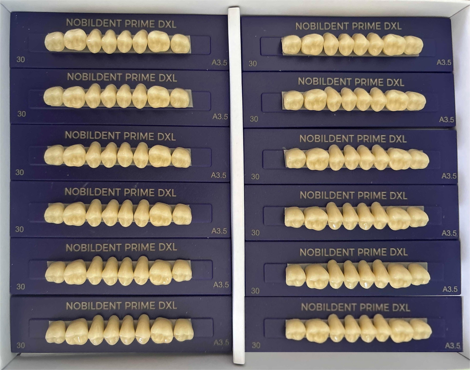 Prime DXL Artificial Dental Acrylic Resin False Denture Teeth Upper Anterior